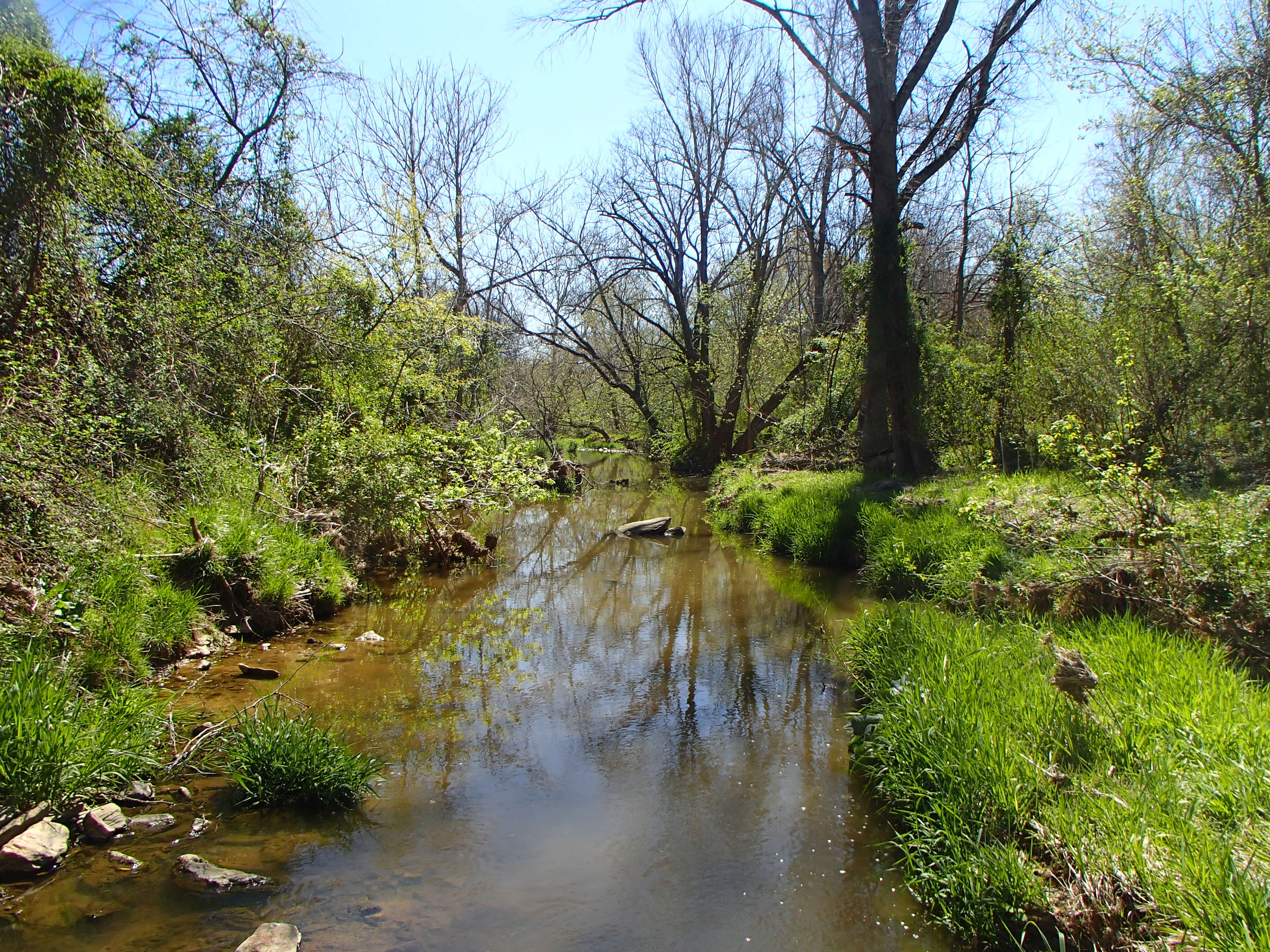 Field photo showing stream conditions at site PRFR-202-X-2016_Midpoint looking downstream